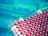 Beefed-Up Biomedical Assays