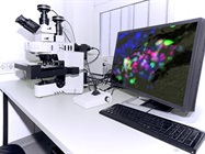 New Avenues Emerging in Phenotypic Screening
