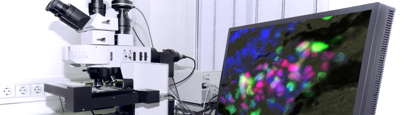  New Avenues Emerging in Phenotypic Screening