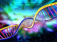 LASSO Cloning: What You Need to Know