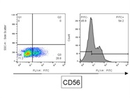 CD56 FITC Monoclonal Antibody