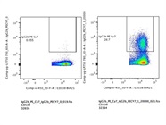 Good Option to Stain Intracellular Mouse IgG2b