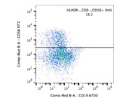 CD56 Staining with NK Cells