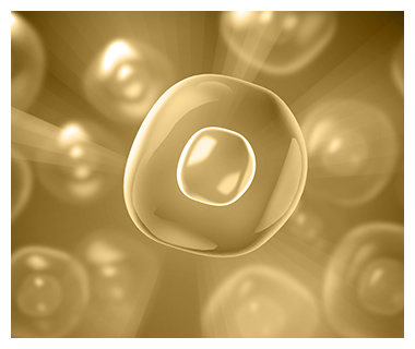 functional genomics is helping with cell growth and production