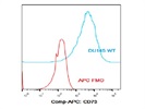 Anti-CD73 with Strong Staining and Good Clarity