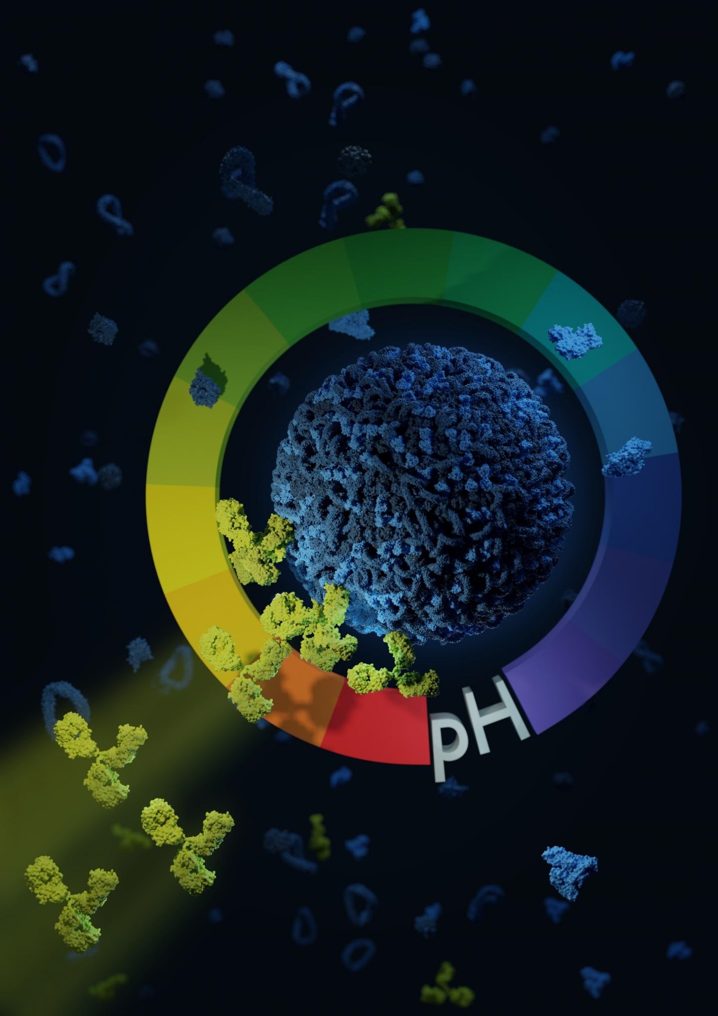 nanocarriers