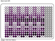 [Webinar] Screening Functional Biomarkers for Chemosensitivity Using Miniaturized Assays