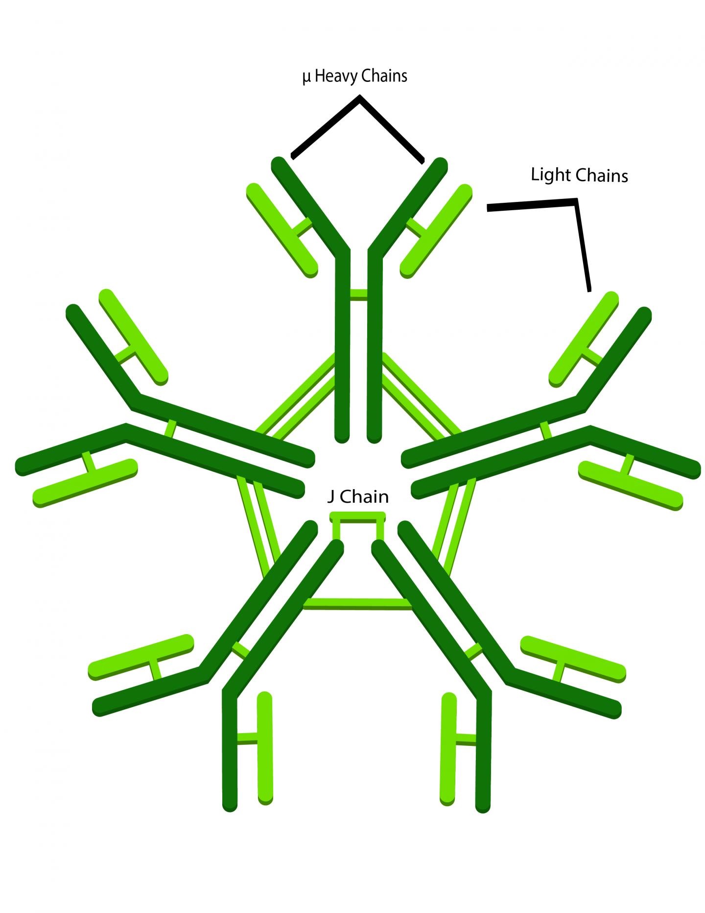HIV