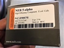 Competent E. coli for Cloning Constructs with High Efficiency