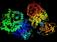 The Sweet Spot in Biotherapeutics
