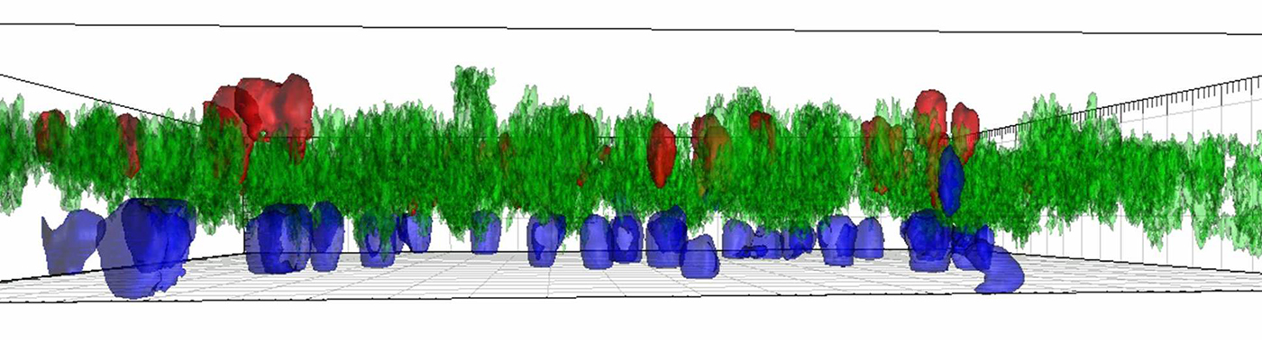 Seeing Cells Alive | Biocompare: The Buyer's Guide for Life Scientists