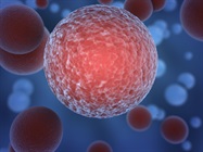 Infographic: Flow Cytometry Enables Single-Cell Analysis