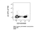 Anti-Human CD19 BV605 Antibody
