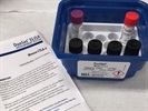 DuoSet CTLA-4 ELISA