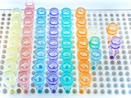 Pouncing on Cancer with PCR