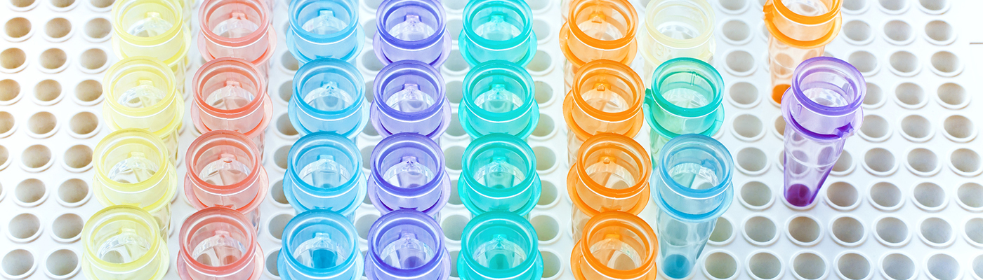  Pouncing on Cancer with PCR