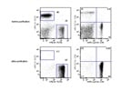 Good Way to Purify CD4 or CD8 T Cells