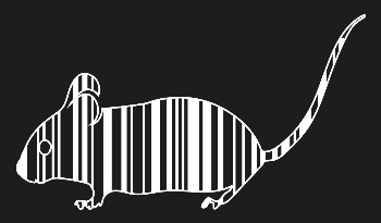 homing guide RNA