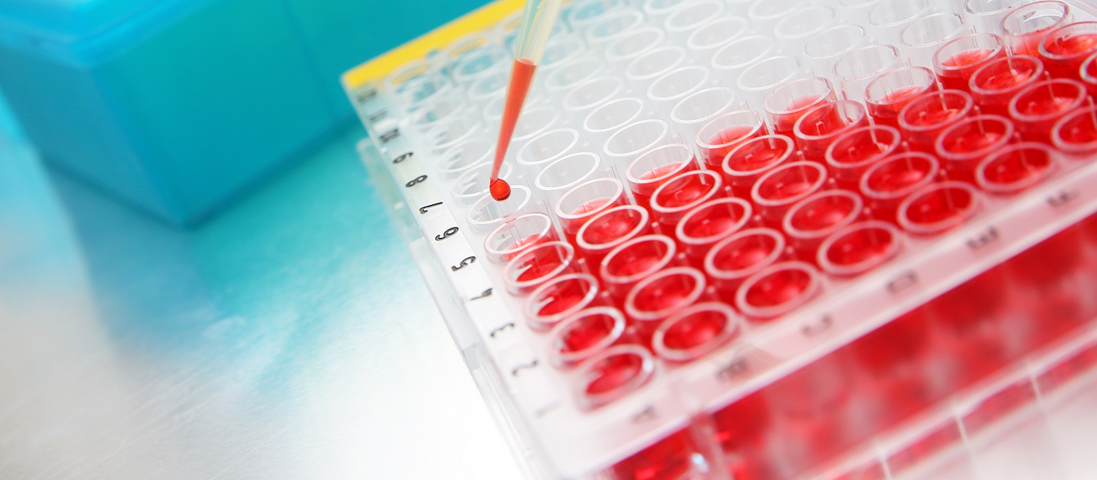 ELISA Quality Manufacturing and Evaluation of Performance