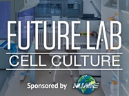 Infographic: Where to Place Your Class II, Type A2 Biosafety Cabinet