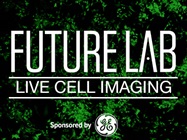Automated Live Cell Analysis of Apoptosis and Cytotoxicity