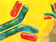 Immunodetection Systems to Fit All Your Needs