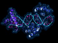 Protein-DNA Interactions and the Rise of ChIP-Seq