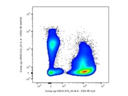 Nice CD56 Antibody for NK Cells