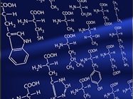 Streamlining Peptide Mapping Workflows