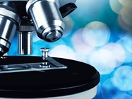 Look Alive with Live-Cell Imaging