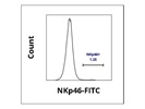 NKp46 Antibody for Flow Cytometry