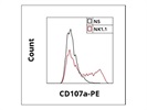 Great Antibody for NK Cell Degranulation Assay