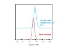 Low-Expressing Cells Difficult To Quantitate
