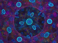 Flow Cytometry: The Quintessential Single-Cell Technique