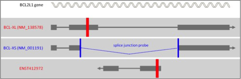 transcript isoform-specific detection