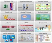 How to Profile lncRNAs Effectively