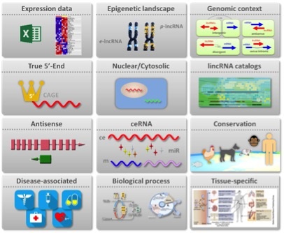  How to Profile lncRNAs Effectively