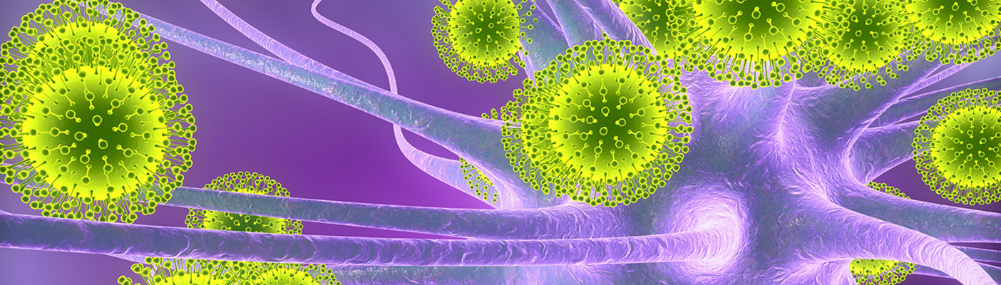  Genomic Attacks on Infectious Diseases