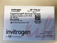 First-Strand Synthesis SuperMix Kit for RT-qPCR