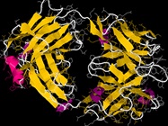 Improved Biologic/Protein Characterization and Recovery by LC