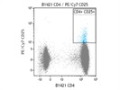 PE/Cy7 Anti-Human CD25 Antibody