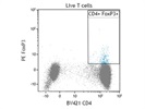 PE Anti-Human FOXP3 Antibody