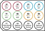 Transfection OptimizationHow to Get It Right