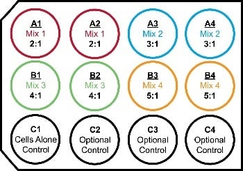  Transfection OptimizationHow to Get It Right