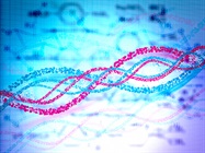 Choosing a SNP Genotyping Method