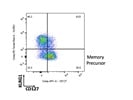 Robust Antibody to Detect IL-7 Receptor (CD127)