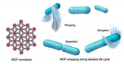 artificial photosynthesis