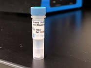 Time Course Effect of Chemoattractant on PARP Expression