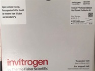 Very Efficient Endotoxin Maxi Kit