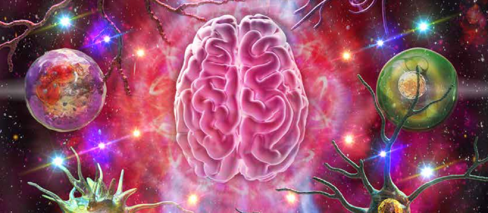  Guide: Neuroinflammation Research Products